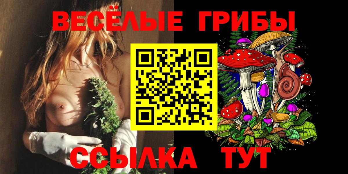 Елец  Галлюциногенные грибы Magic Shrooms  Псилоцибиновые грибы GOLDEN TEACHER  Вход с VPN 