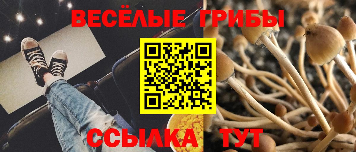 Галлюциногенные грибы прущие грибы Елец